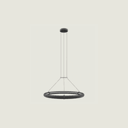 Elli Large Pendant Light gallery detail image