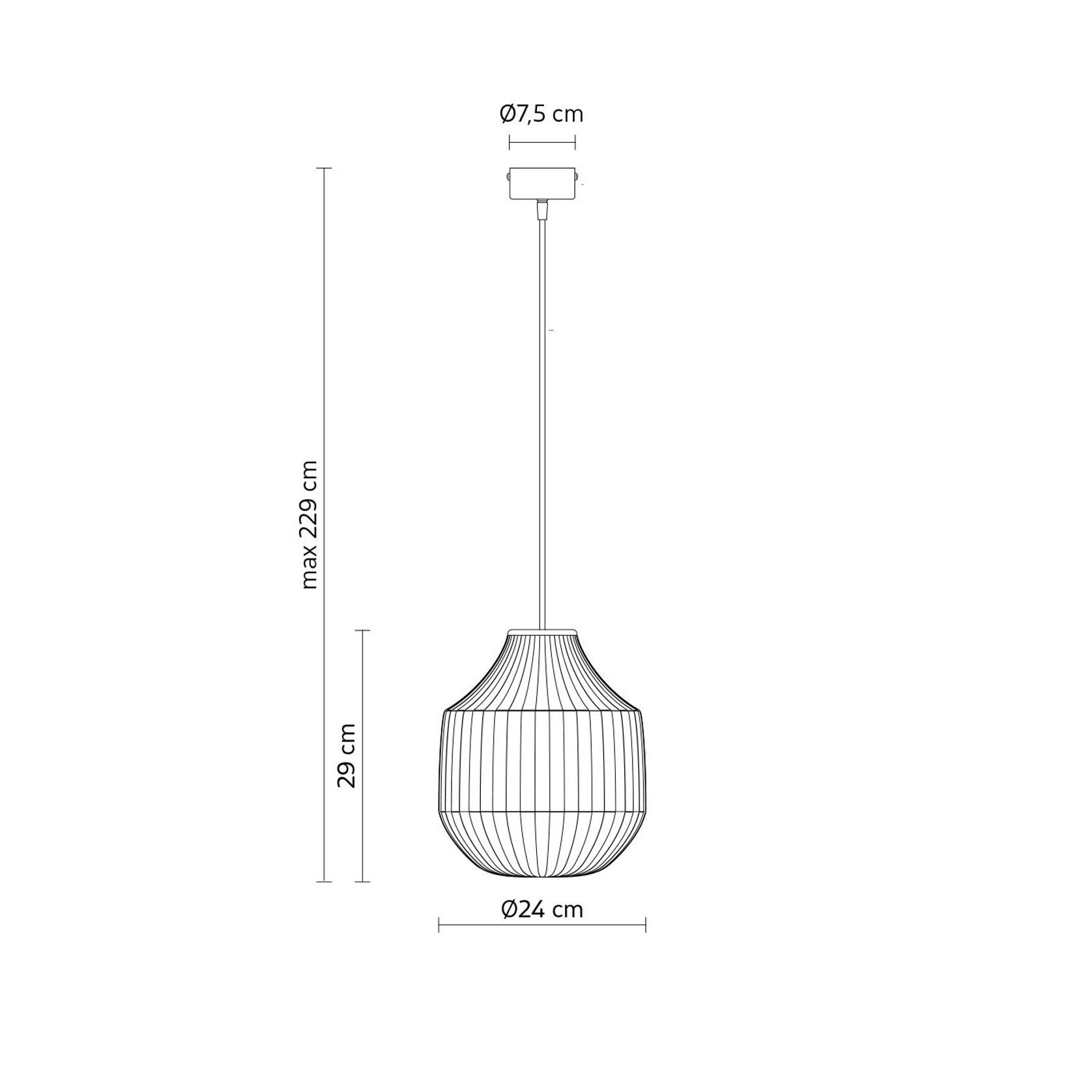 Circus Pendant Light gallery detail image