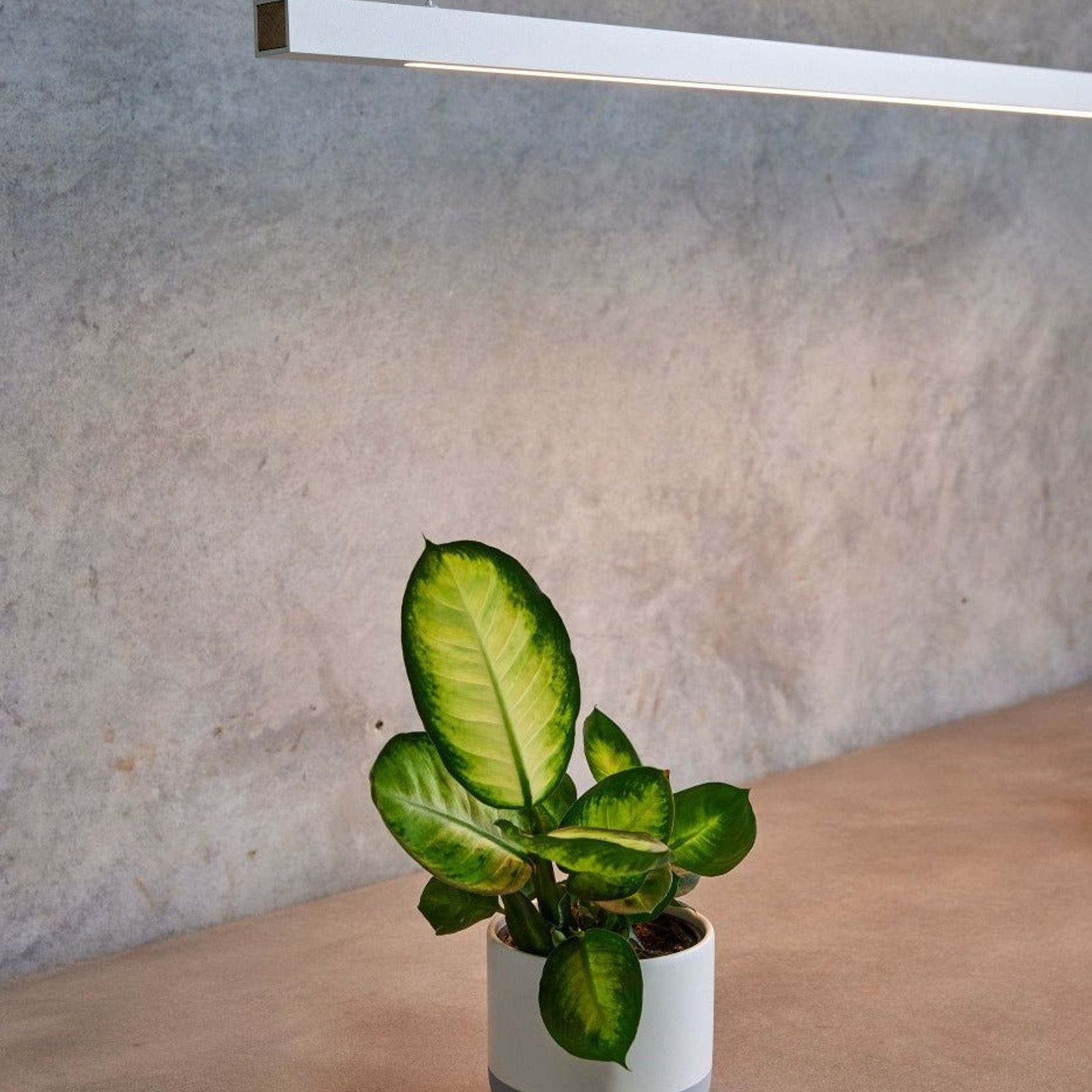 Capsühl Linear LED Linear Pendant White gallery detail image