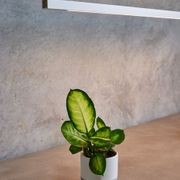 Capsühl Linear LED Linear Pendant White gallery detail image