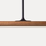 Spru Pendant | Tasmanian Blackwood gallery detail image