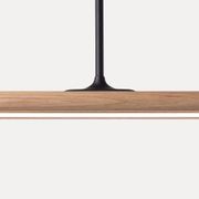 Spru Pendant | Tasmanian Oak gallery detail image