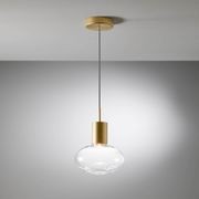 Rosetta Glass Pendant Light - 20cm in Brushed Gold gallery detail image