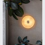 Beran Wall Light gallery detail image