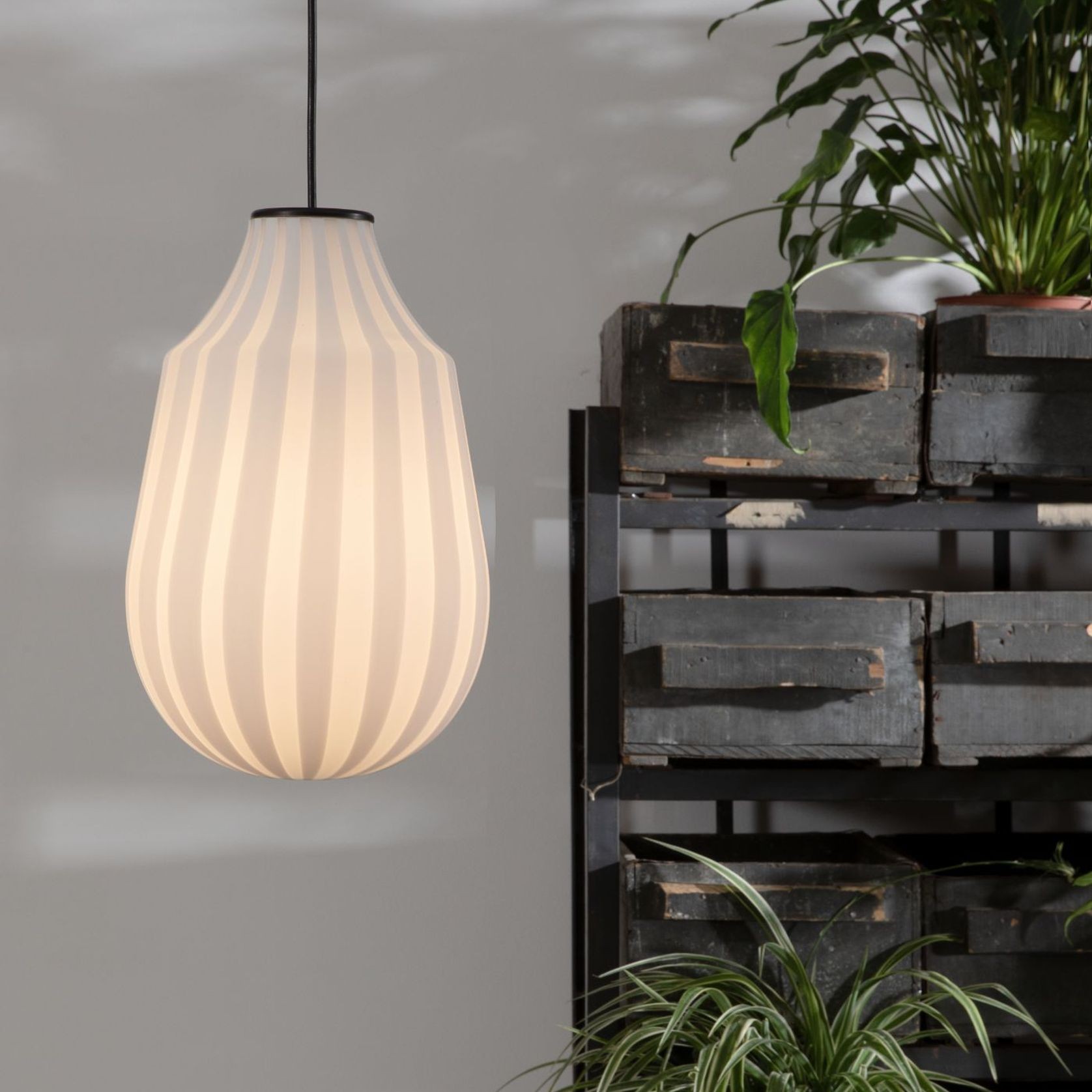 Circus Pendant Light gallery detail image