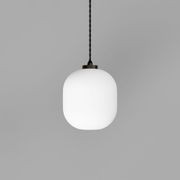 Parlour Curve Pendant gallery detail image
