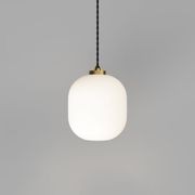 Parlour Curve Pendant gallery detail image