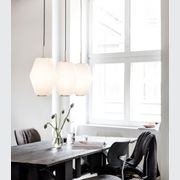 Dahl Pendant Light gallery detail image