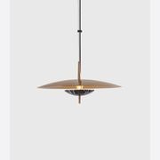 Luna Pendant Light gallery detail image