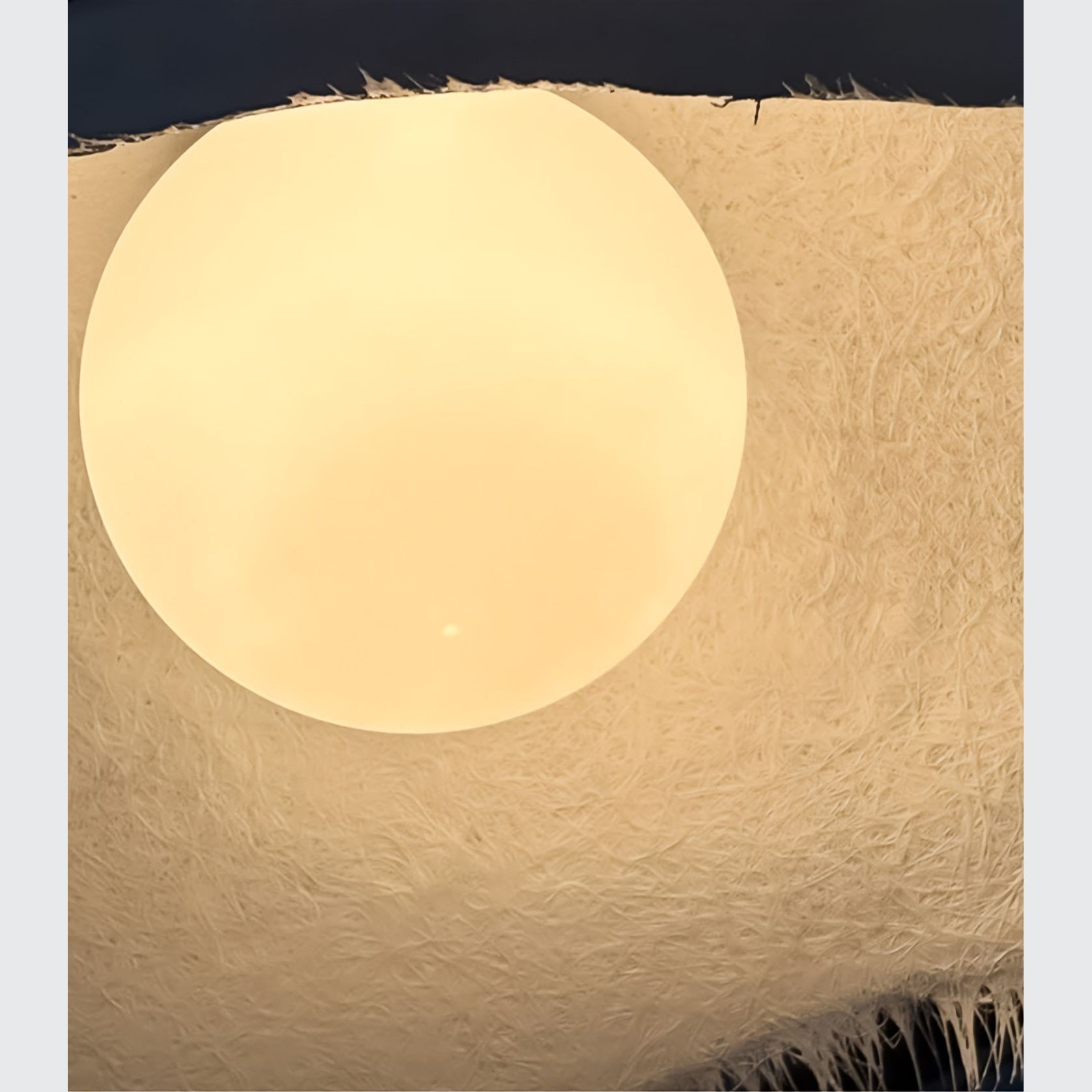 Moby Dick Pendant Light gallery detail image