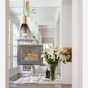 Phenomena Capsule Pendant Light gallery detail image