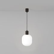 Parlour Curve Pendant gallery detail image