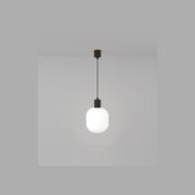 Parlour Curve Pendant gallery detail image