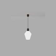 Parlour Geo Pendant Light gallery detail image