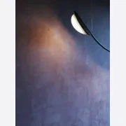 Almendra Linear gallery detail image