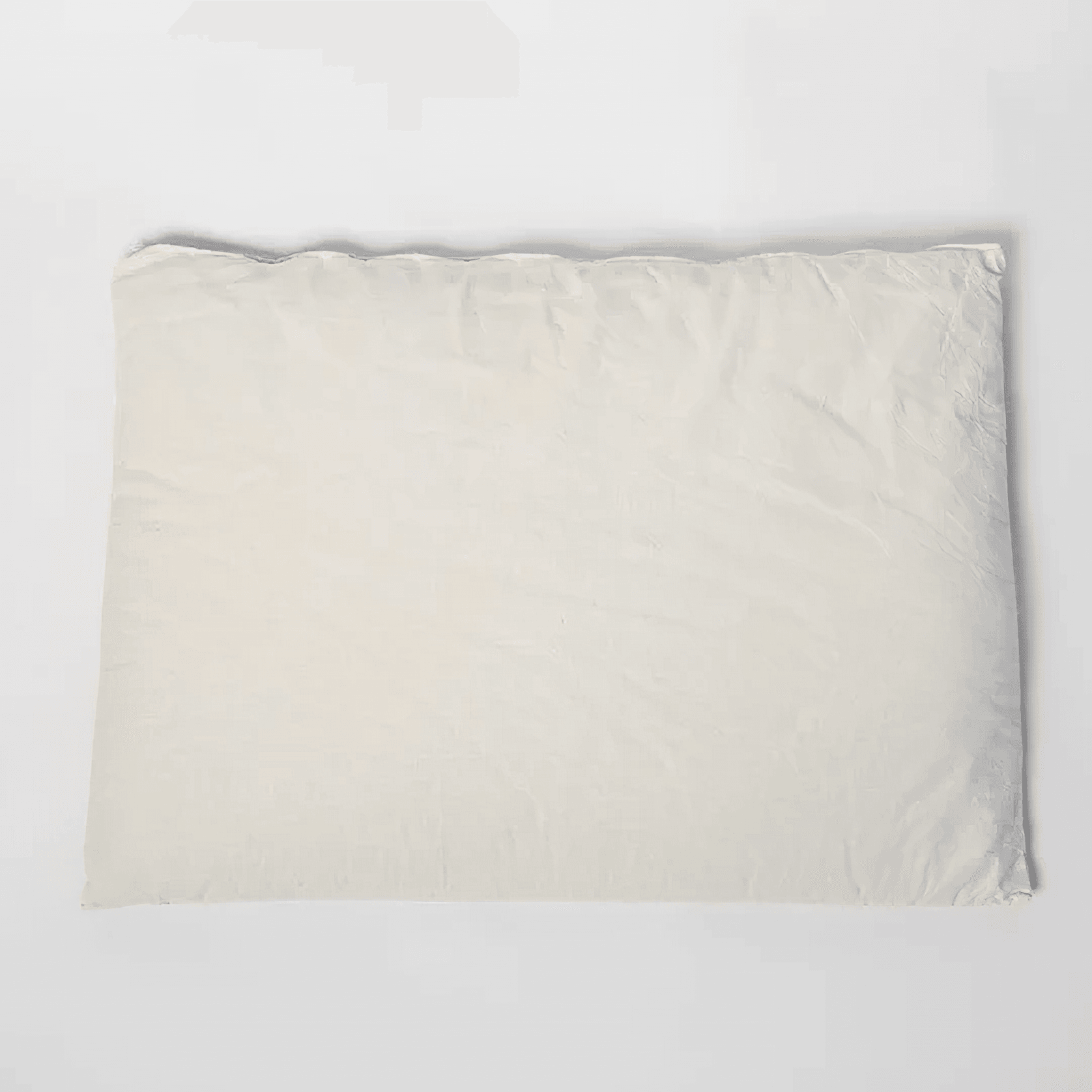 Buckwheat Hull | Pillow gallery detail image