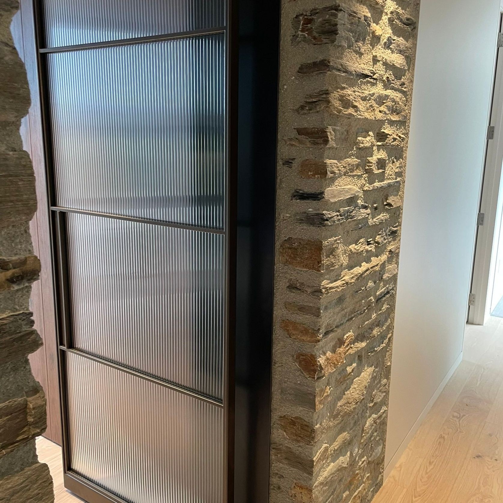 Pivot Steel Doors gallery detail image