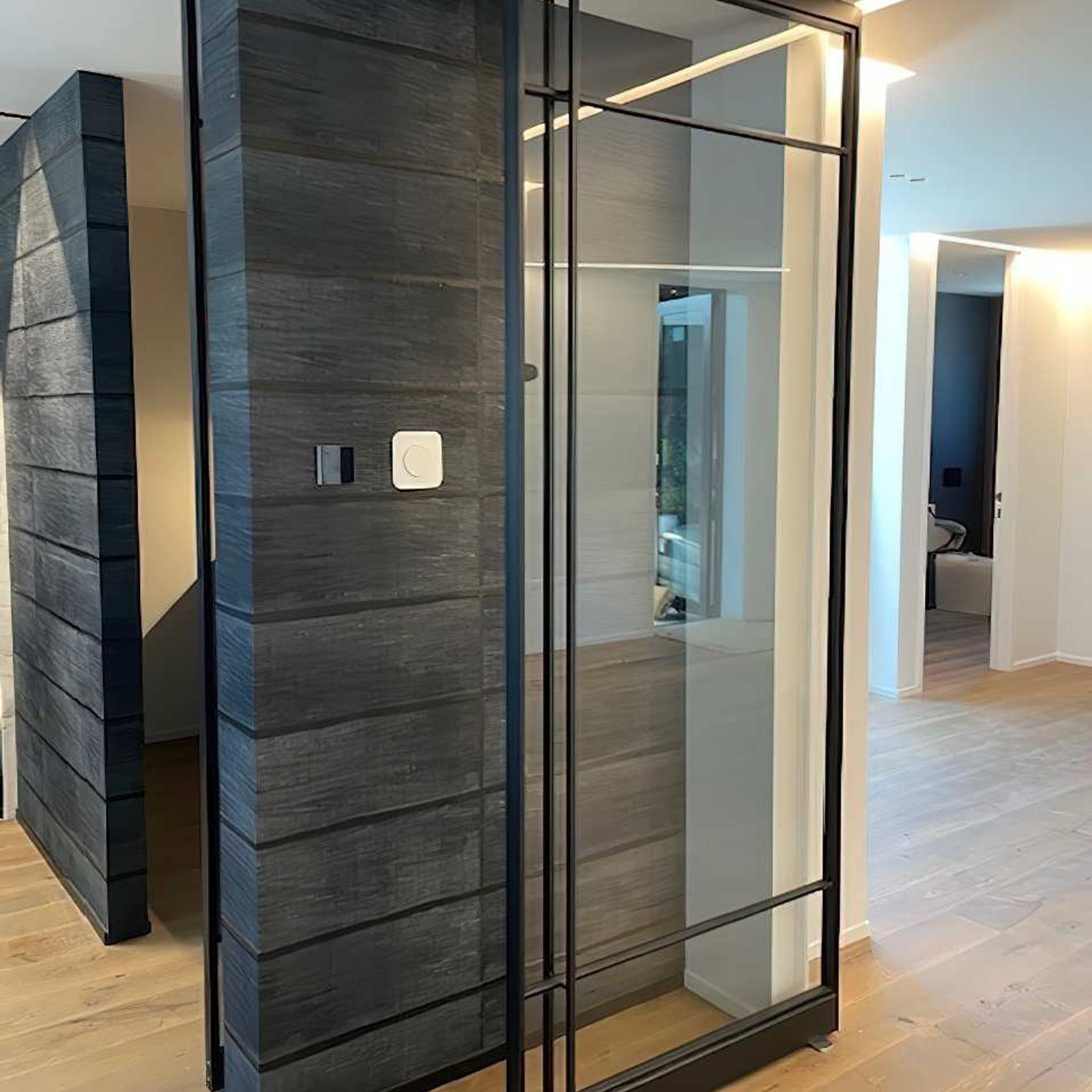 Pivot Steel Doors gallery detail image