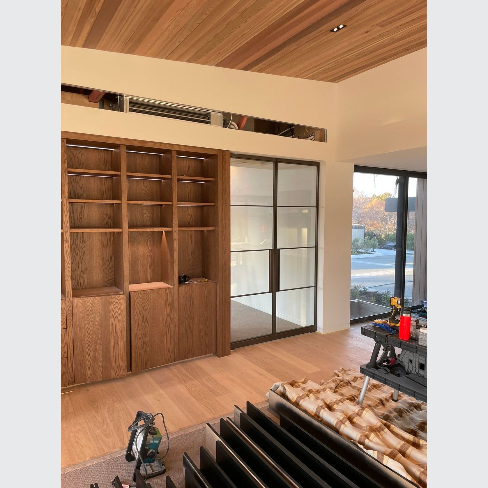 Pivot Steel Doors gallery detail image