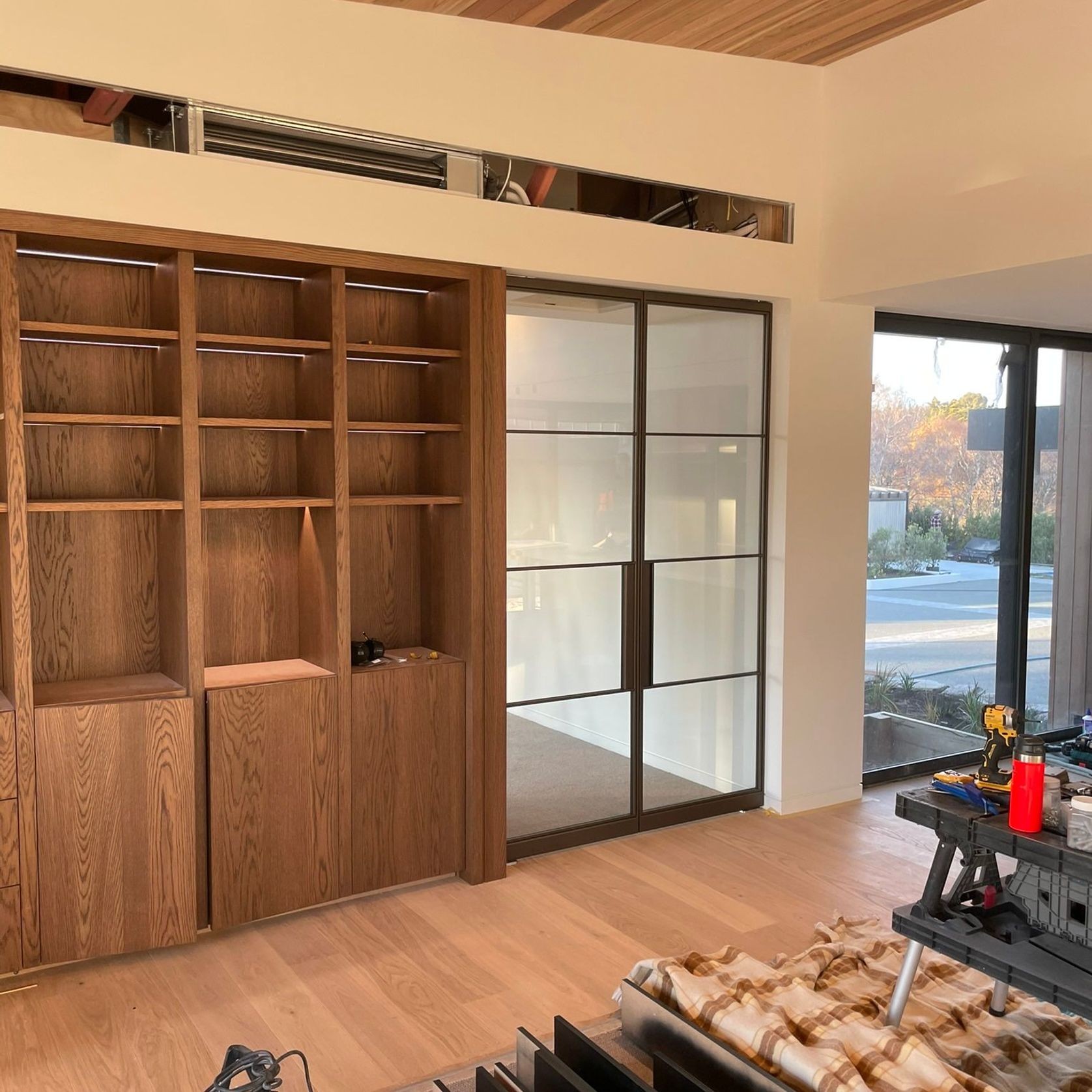 Pivot Steel Doors gallery detail image