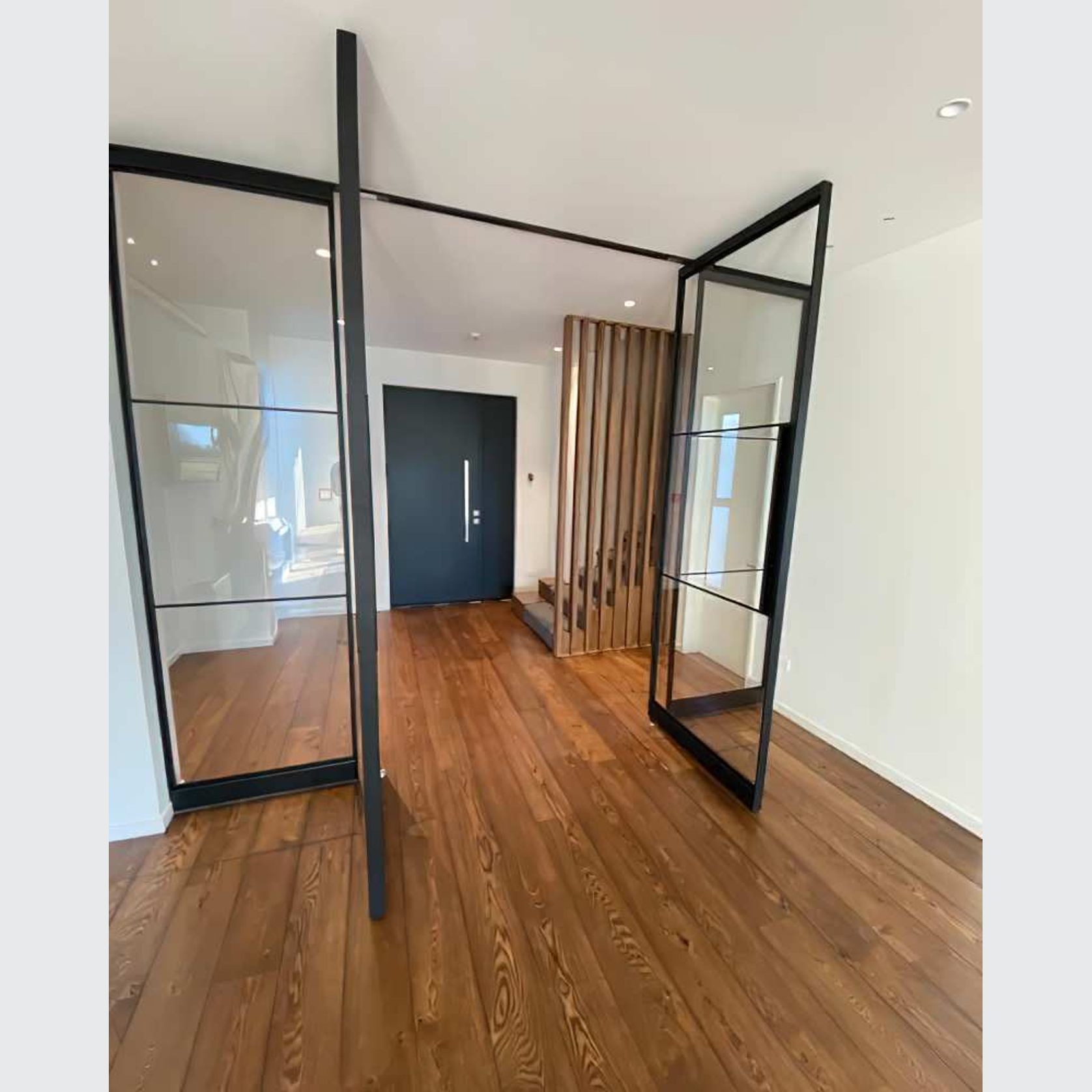 Pivot Steel Doors gallery detail image