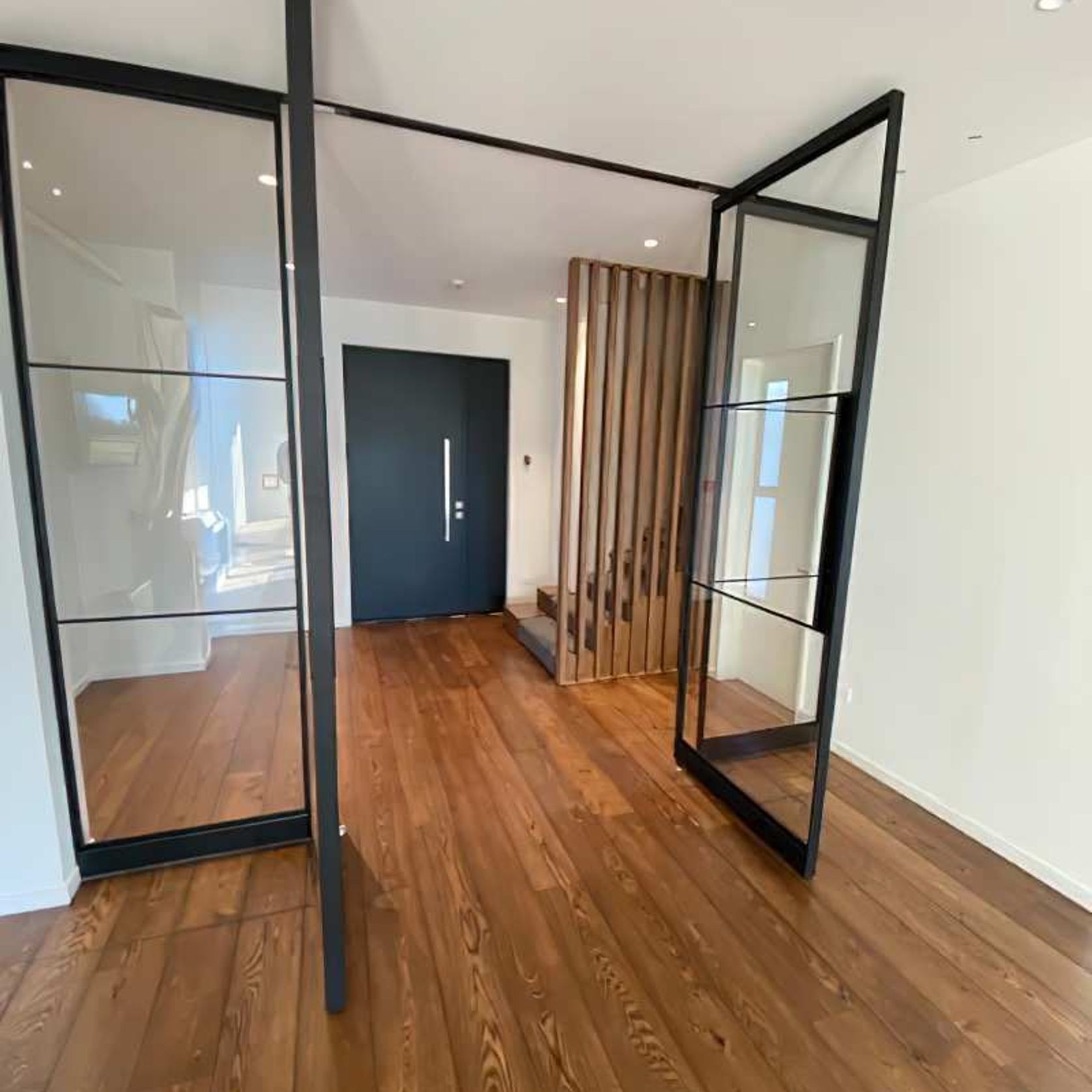 Pivot Steel Doors gallery detail image