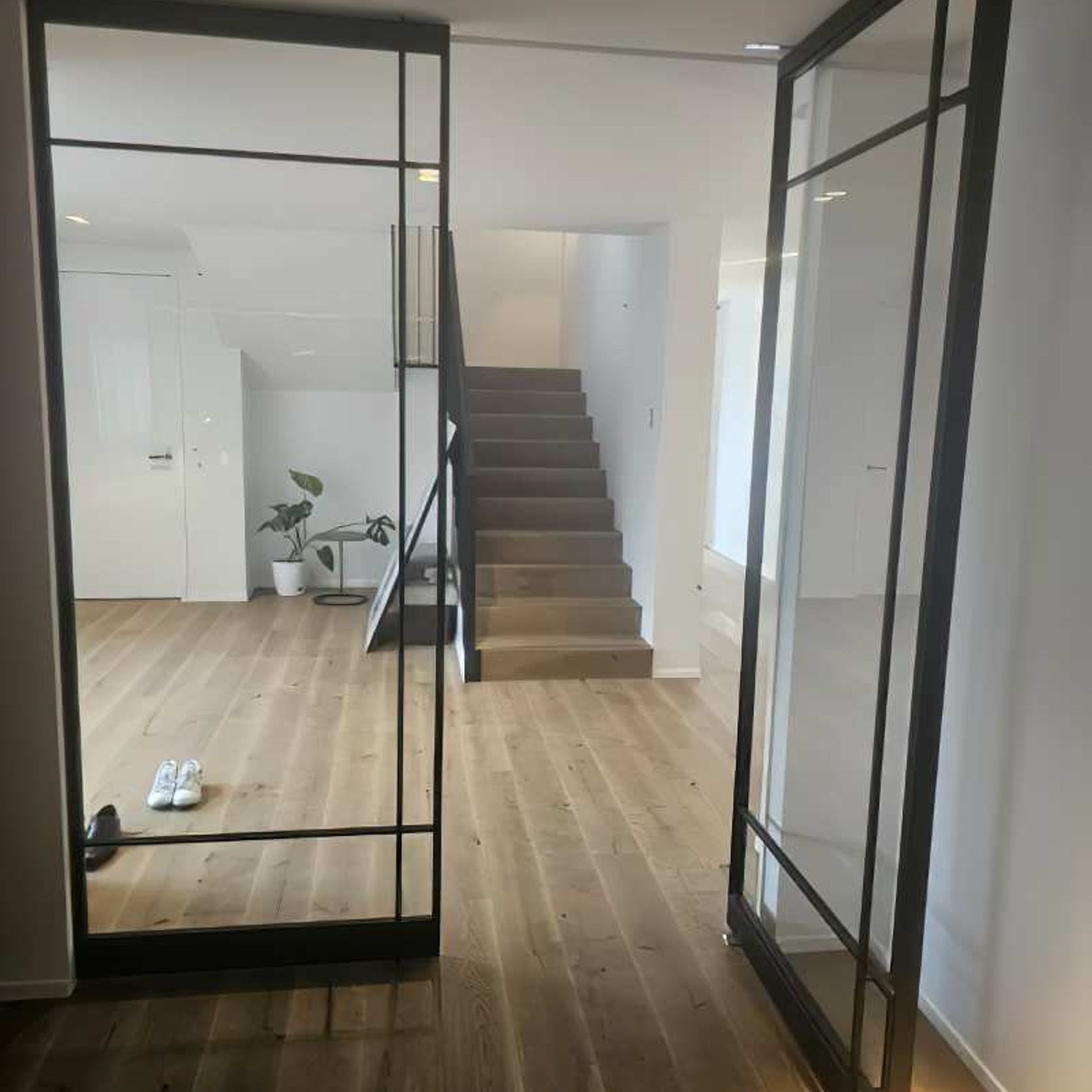 Pivot Steel Doors gallery detail image