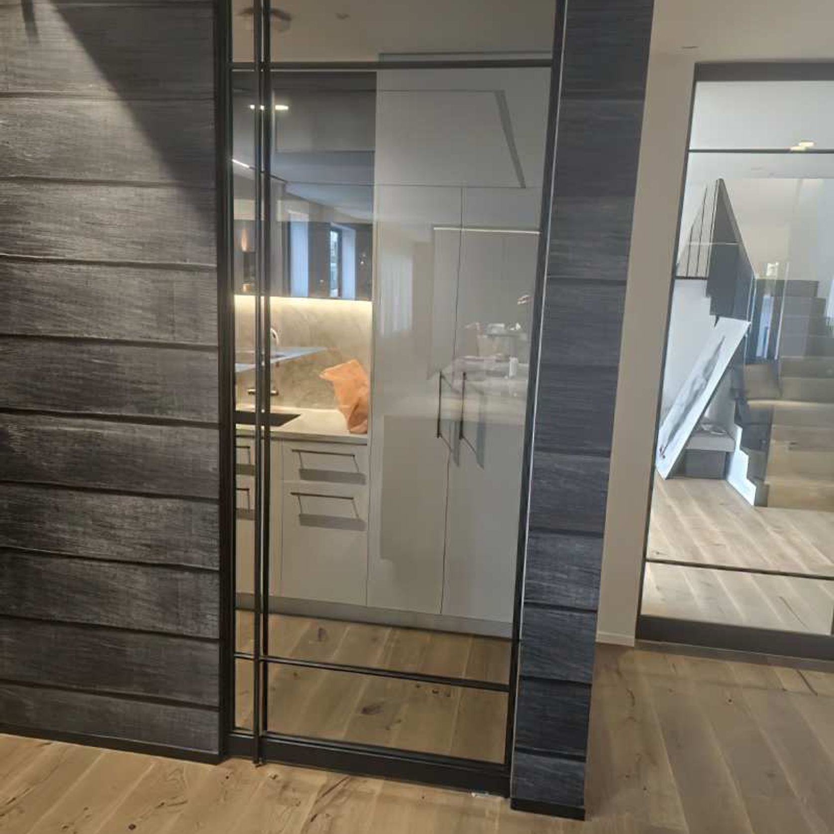 Pivot Steel Doors gallery detail image