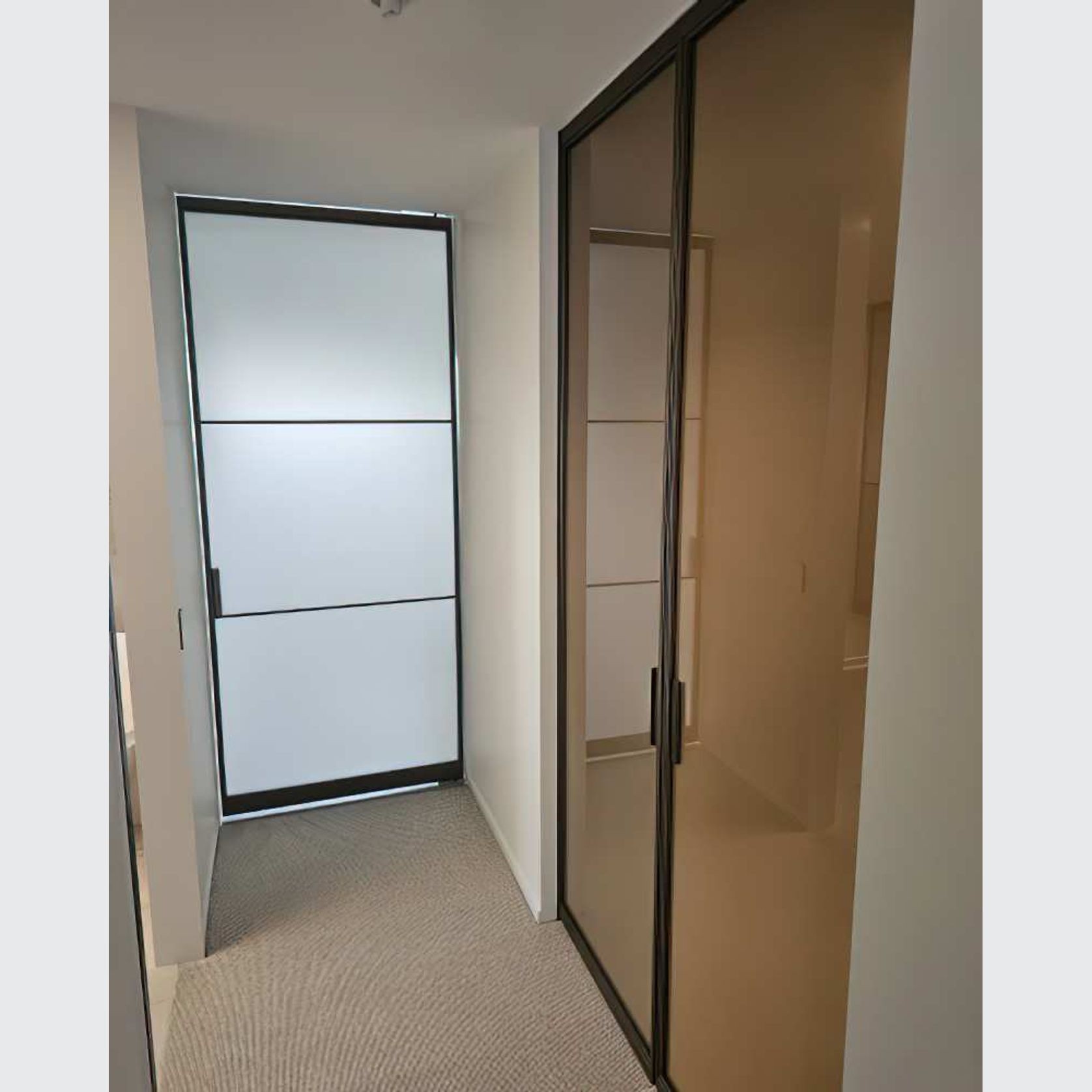 Pivot Steel Doors gallery detail image