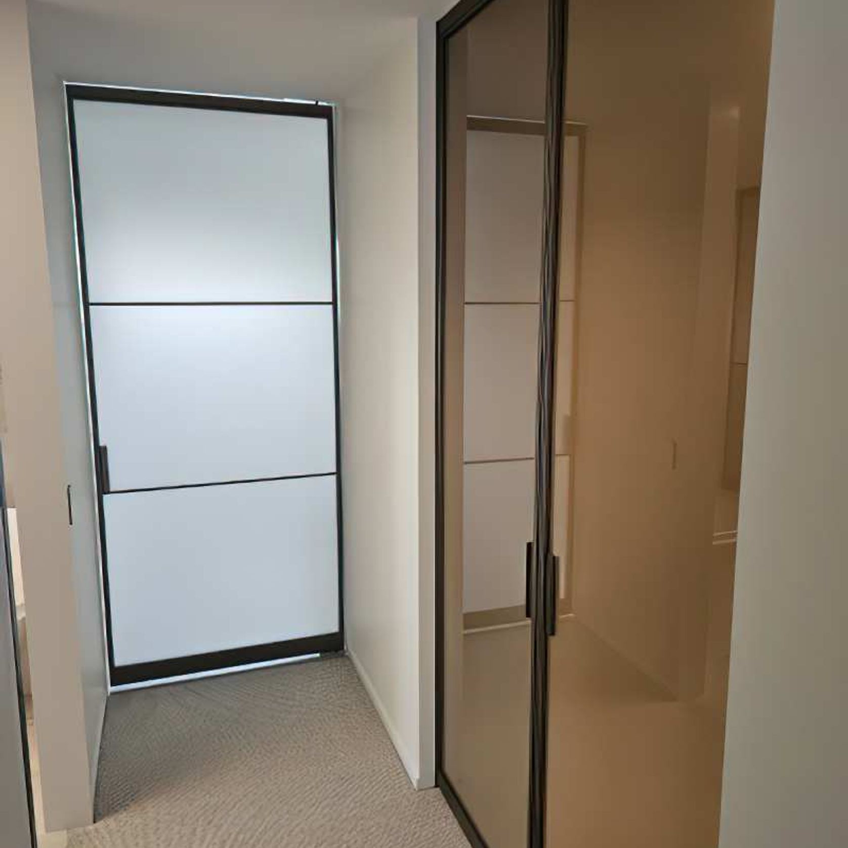 Pivot Steel Doors gallery detail image