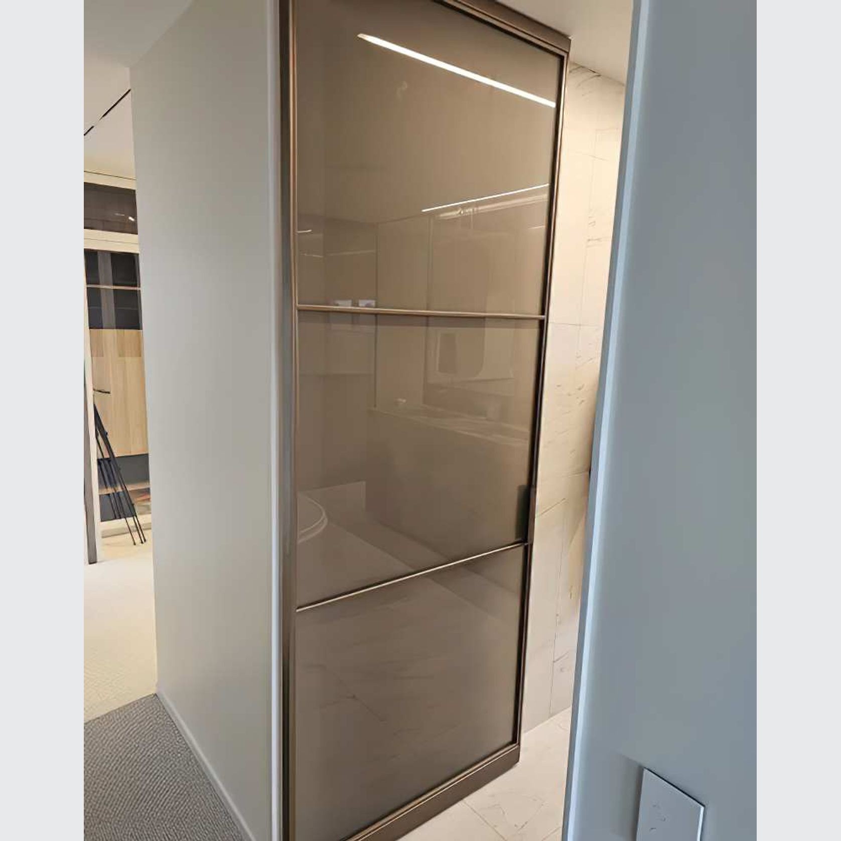 Pivot Steel Doors gallery detail image