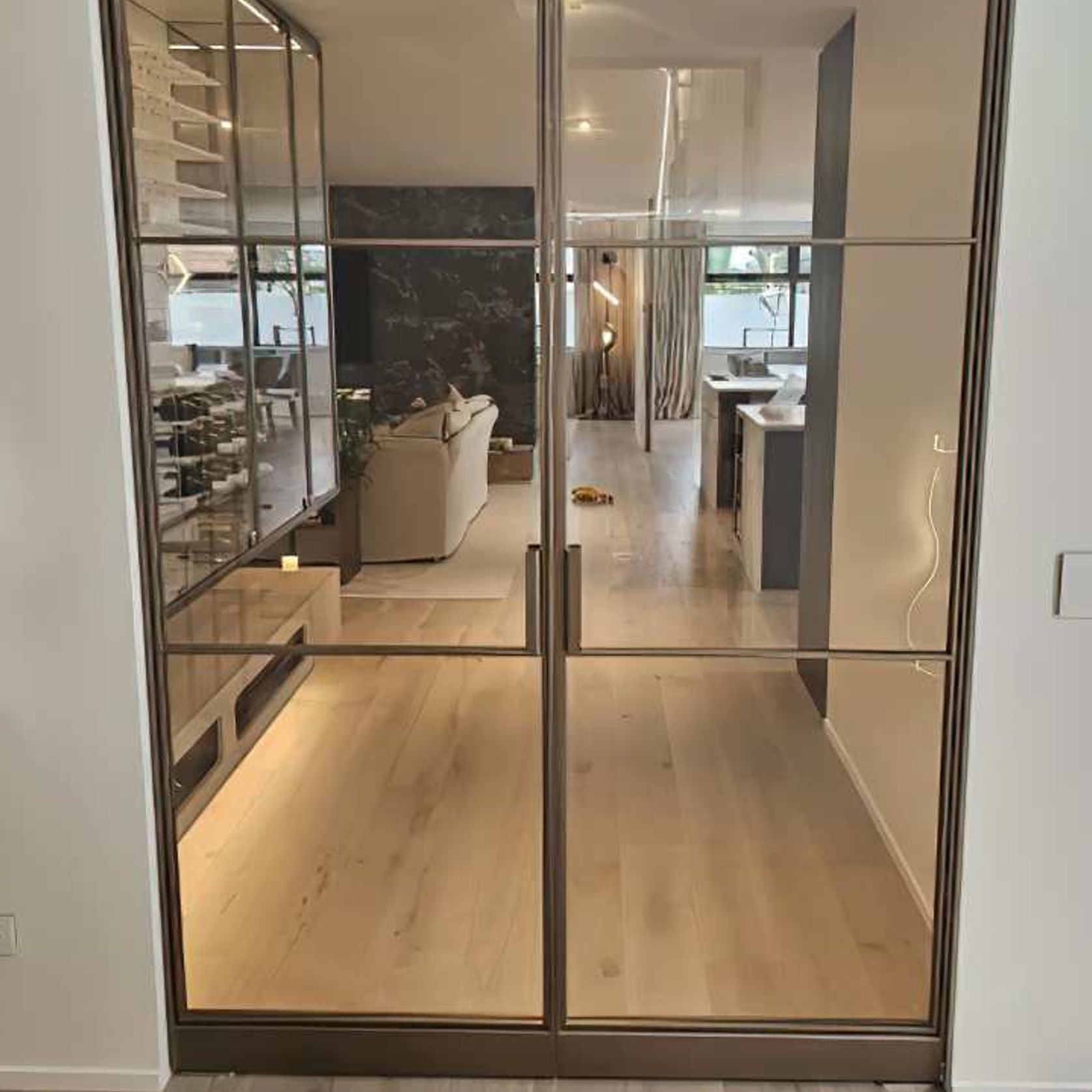 Pivot Steel Doors gallery detail image