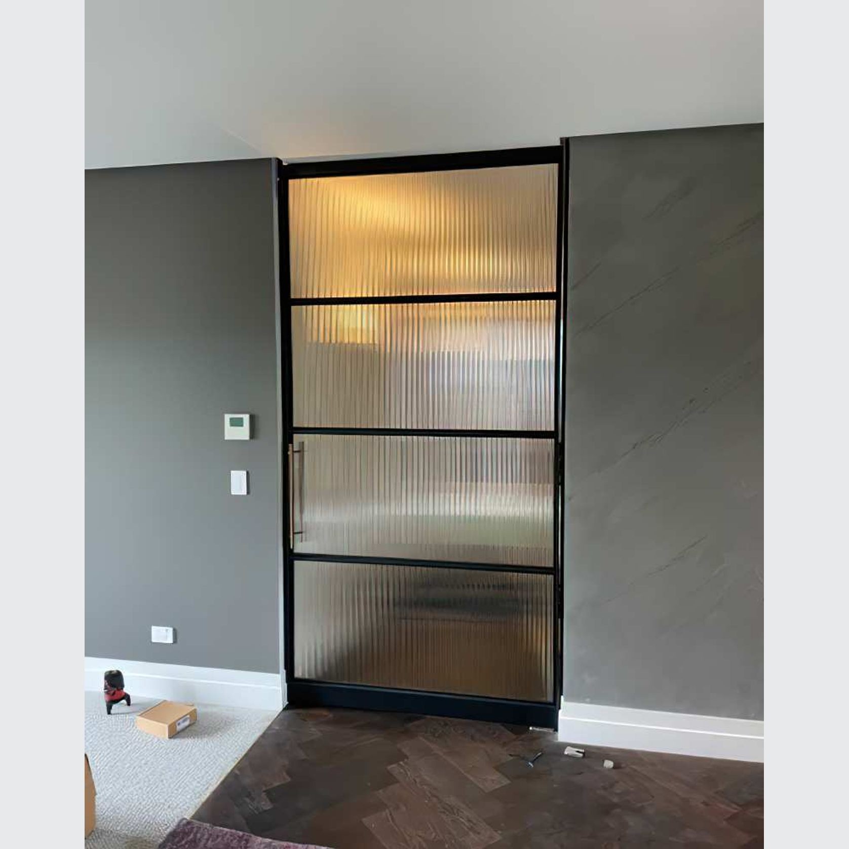 Pivot Steel Doors gallery detail image