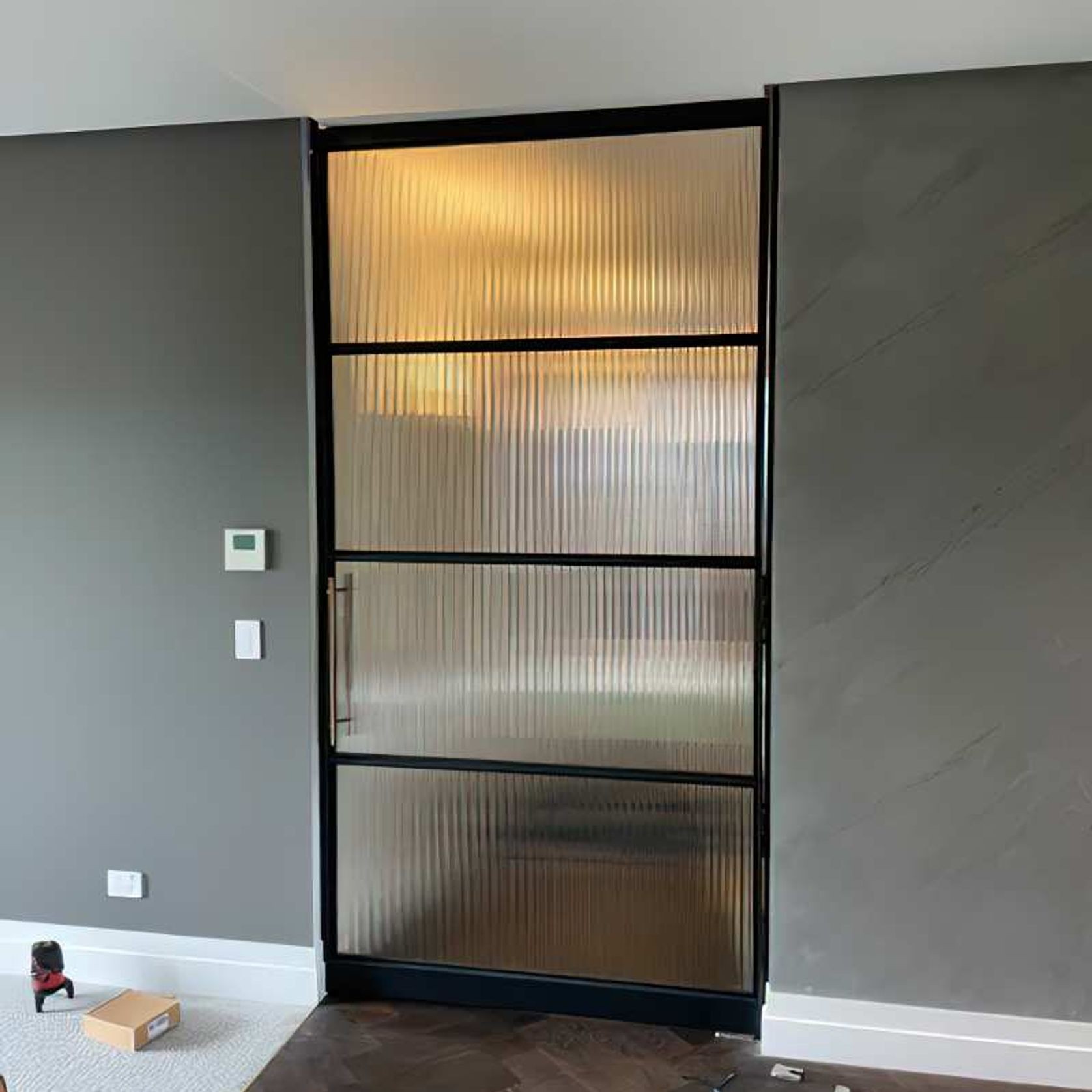 Pivot Steel Doors gallery detail image