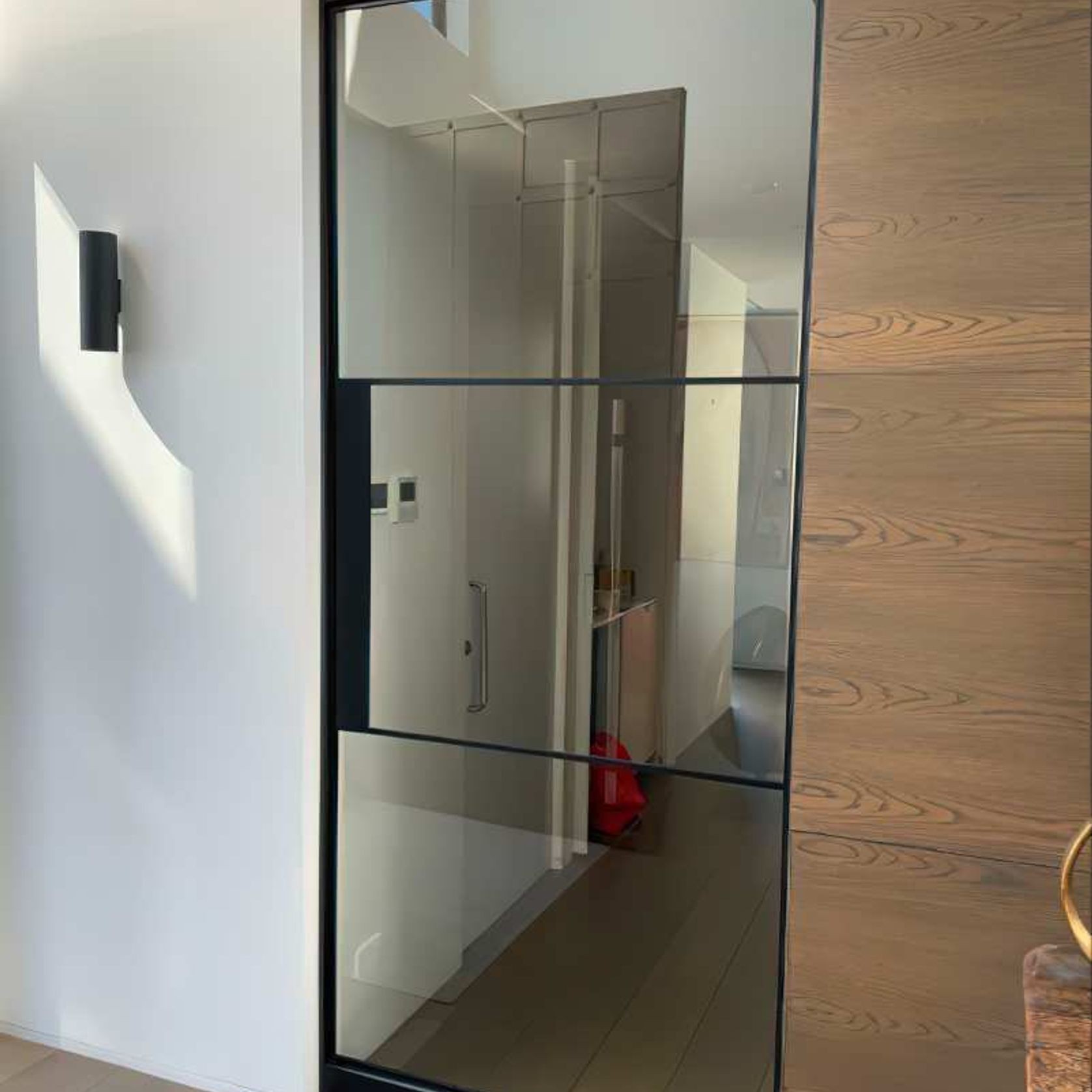 Pivot Steel Doors gallery detail image