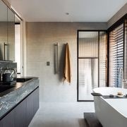 Steel Frame Glass Pivot Doors - Galvanised FPS50 gallery detail image