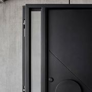 Iron Pivot Entry Doors - Galvanised gallery detail image
