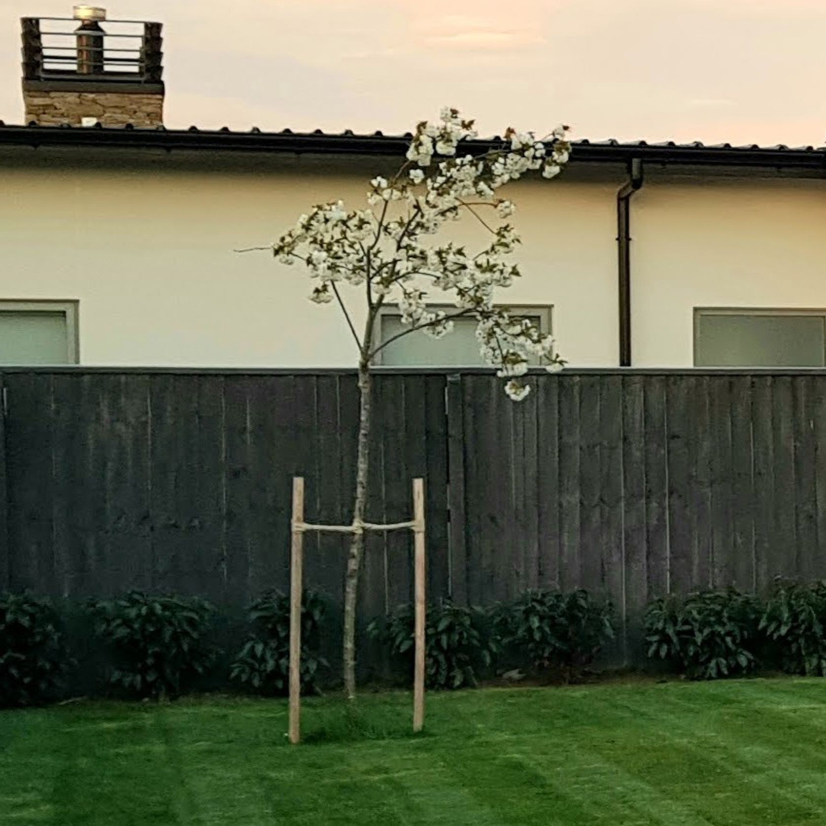 Hardwood Stakes 40mm gallery detail image