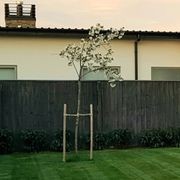 Hardwood Stakes 40mm gallery detail image