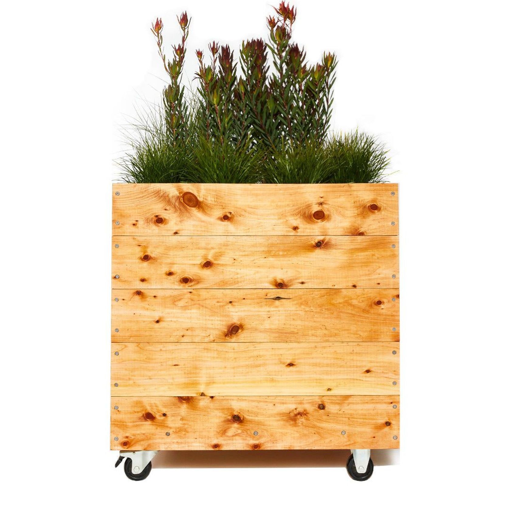Cypress Cubes Planter Box gallery detail image