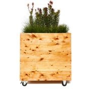Cypress Cubes Planter Box gallery detail image