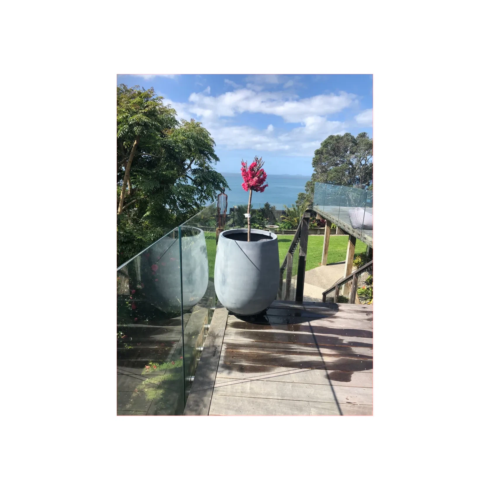 Bianca Palm Pot gallery detail image