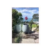 Bianca Palm Pot gallery detail image