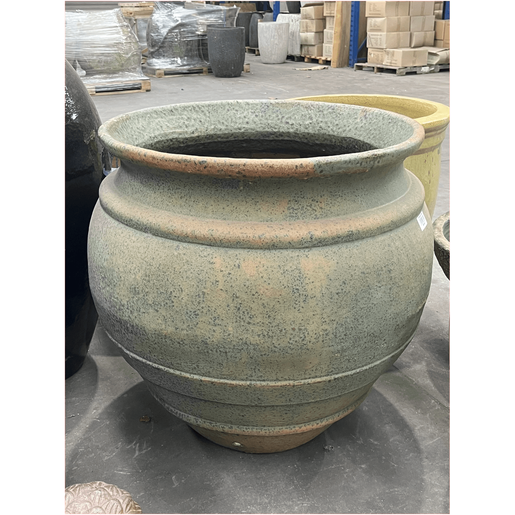 Atlantis - Plain Galatea Jar gallery detail image