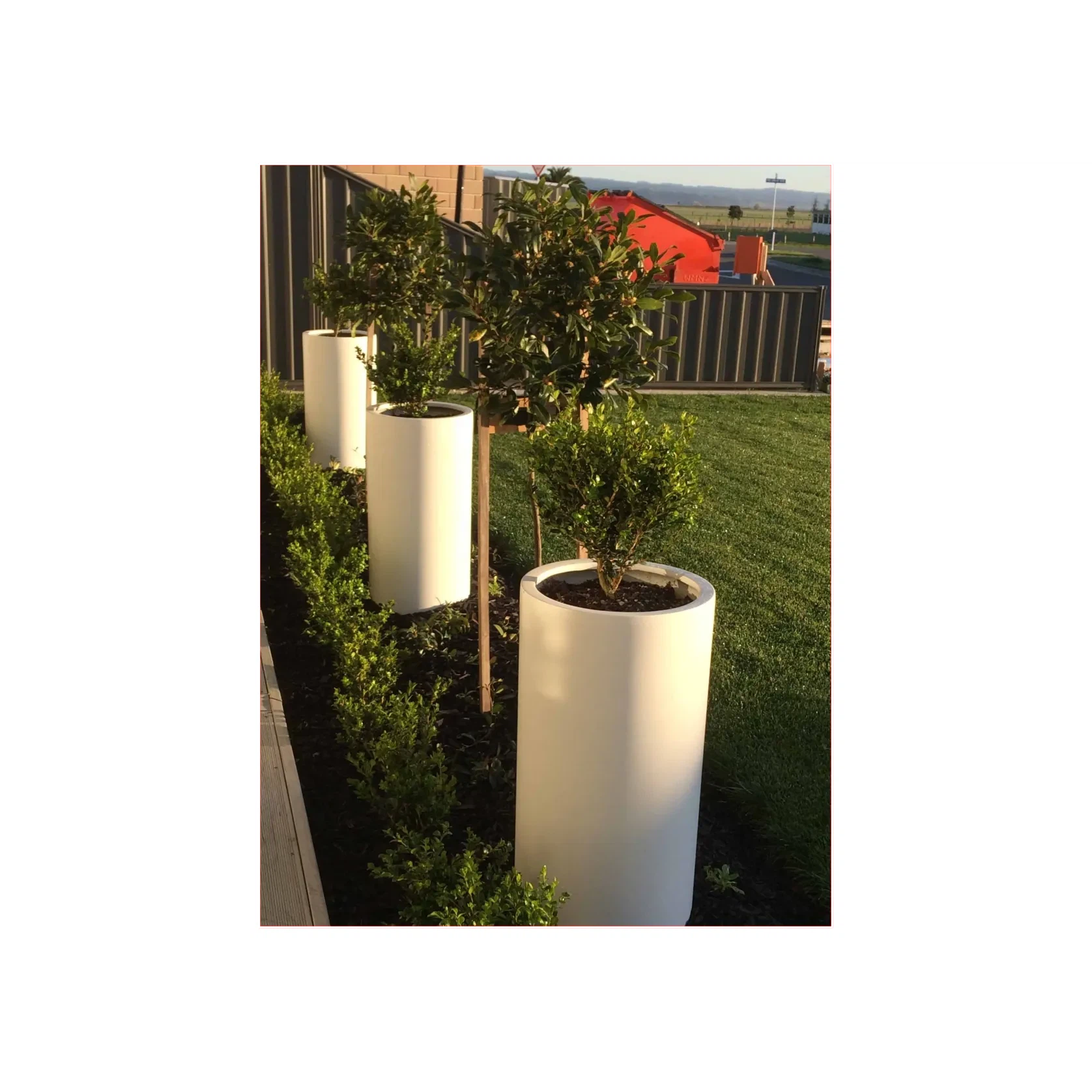 Bianca Cigar Cylinder Pot gallery detail image