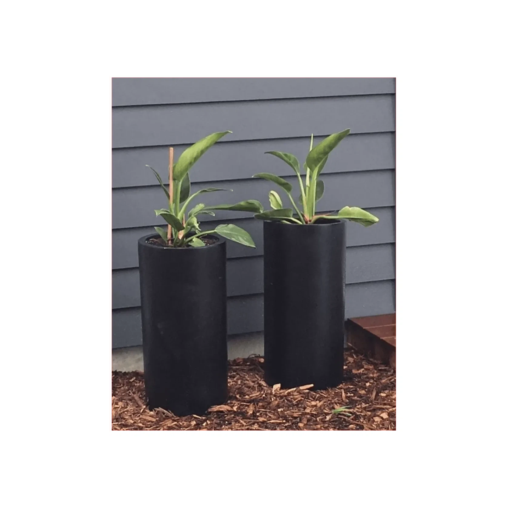 Bianca Cigar Cylinder Pot gallery detail image