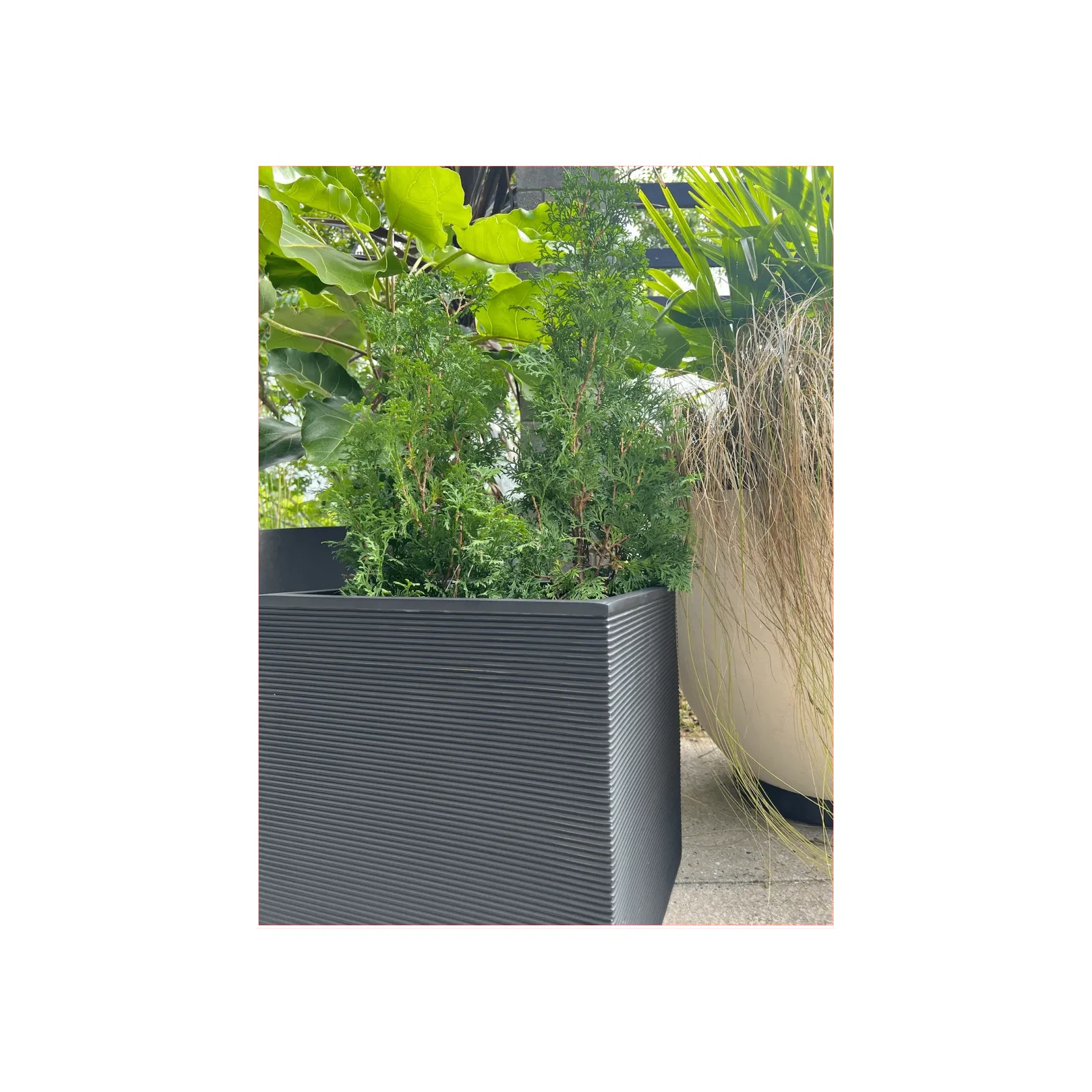 Bianca Cube Horizontal Stripes gallery detail image