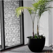 Bianca Egg Pot gallery detail image