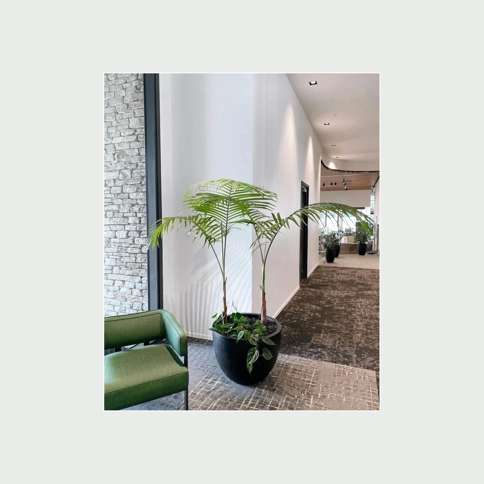 Bianca Egg Pot gallery detail image