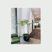 Bianca Egg Pot gallery detail image